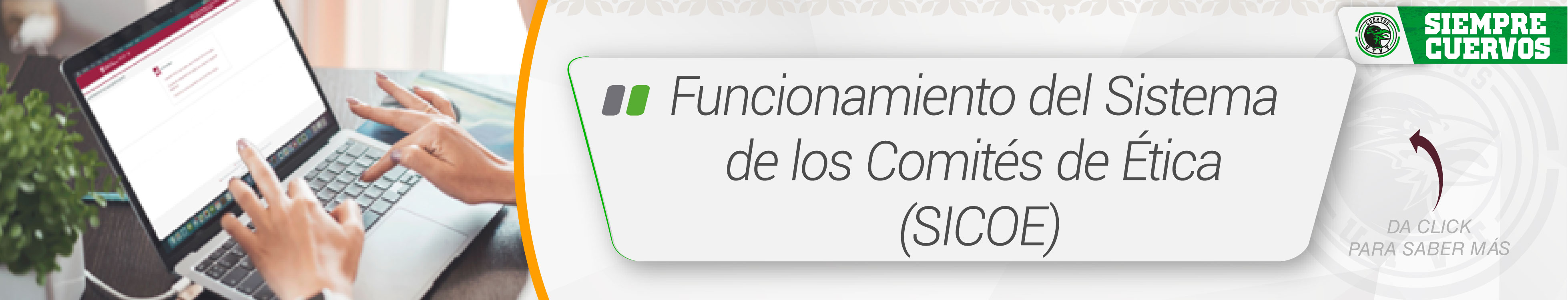 Funcionamiento del Sistema de los Comités de Ética